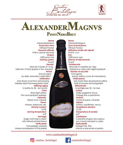 ALEXANDERMAGNVS - Metodo Classico Pinot Nero