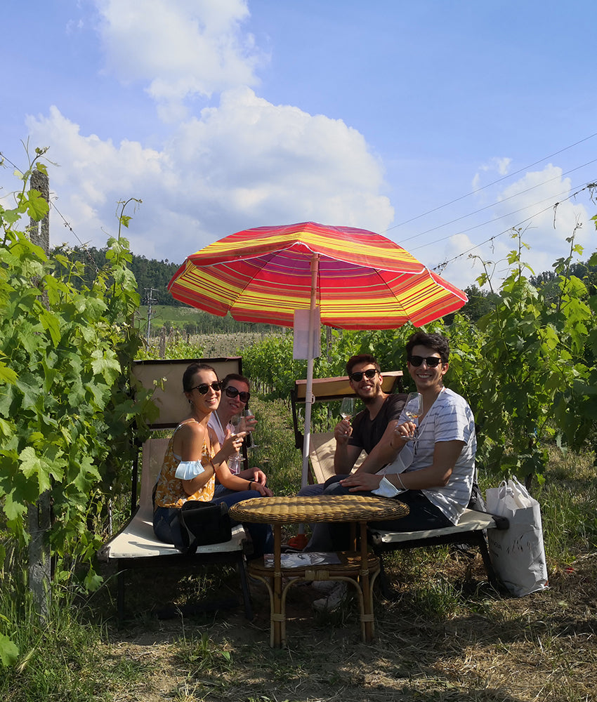PicNic &amp; Aperitif in the vineyard